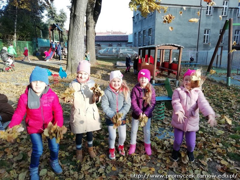 IMG 20191115 133304 resized 20191115 033457849