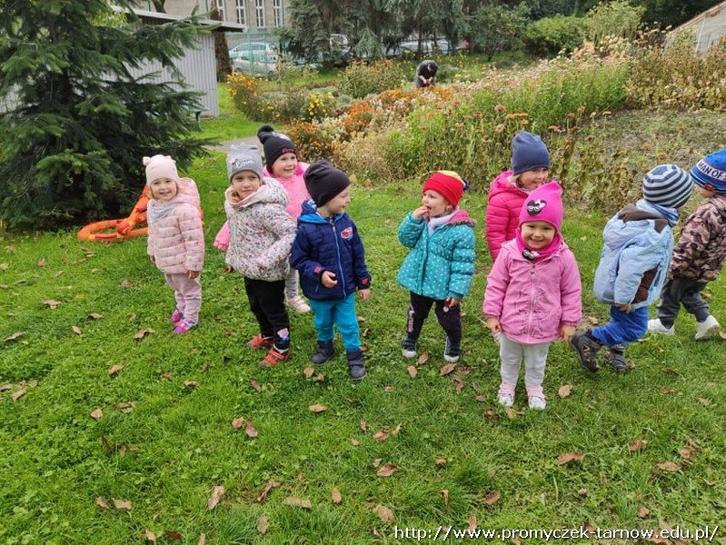 72537090 2435344423416971 3103523306297360384 n