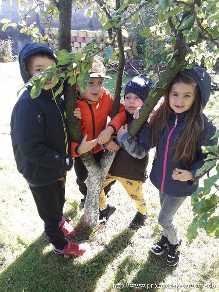 244492223 588270225959826 8280123850419782463 n