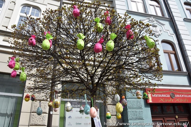 624ec12cd3127 o large