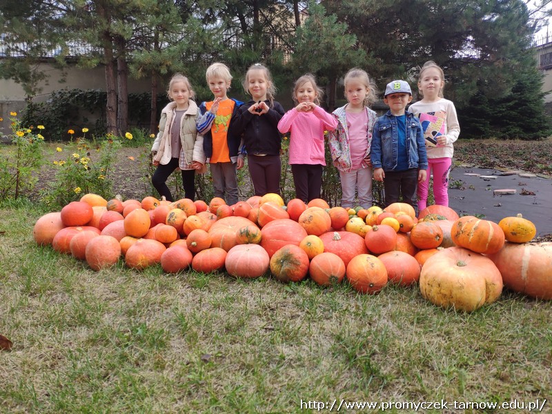 MVIMG 20220916 114139